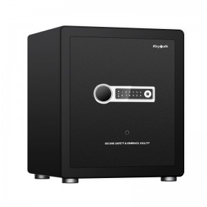 Bedroom Closet Electronic Fingerprint Safe For Home BGX-45M