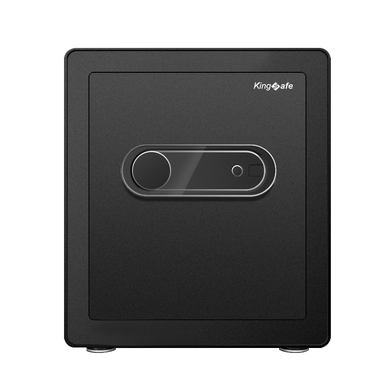 Home Fingerprint Safe